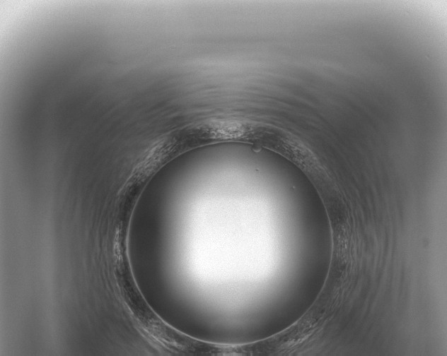 X0000054420598200508051808