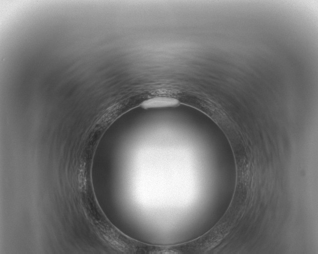 X0000054420599200508051808