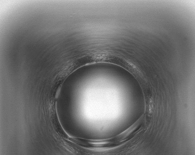 X0000054420601200508051808