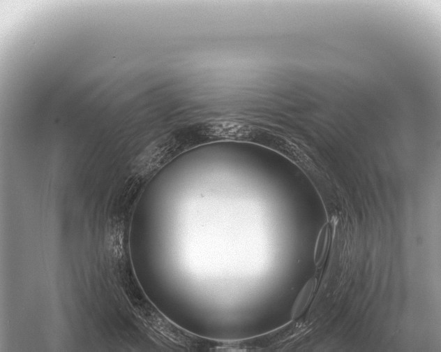 X0000054420602200508051808