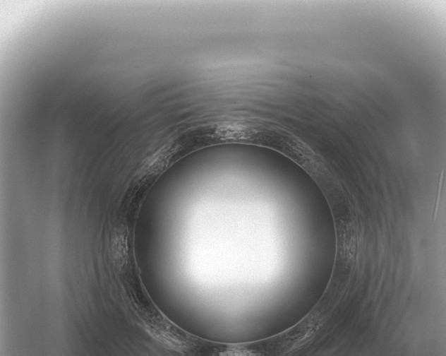 X0000054420603200508051808