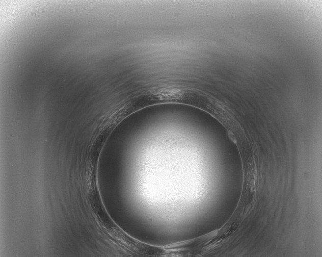 X0000054420604200508051808