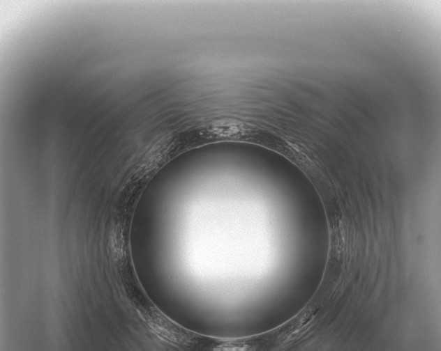 X0000054420606200508051808