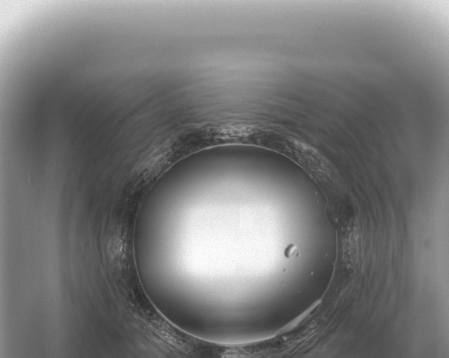 X0000054420608200508051808