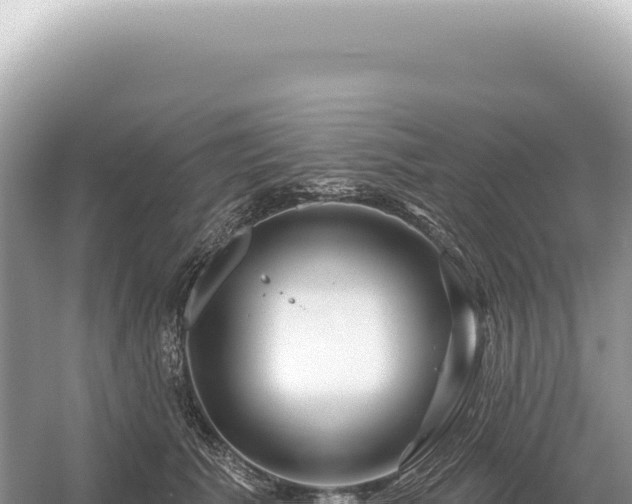 X0000054420609200508051807