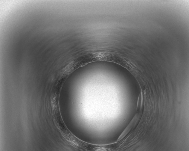 X0000054420611200508051807