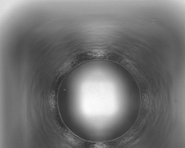 X0000054420612200508051807