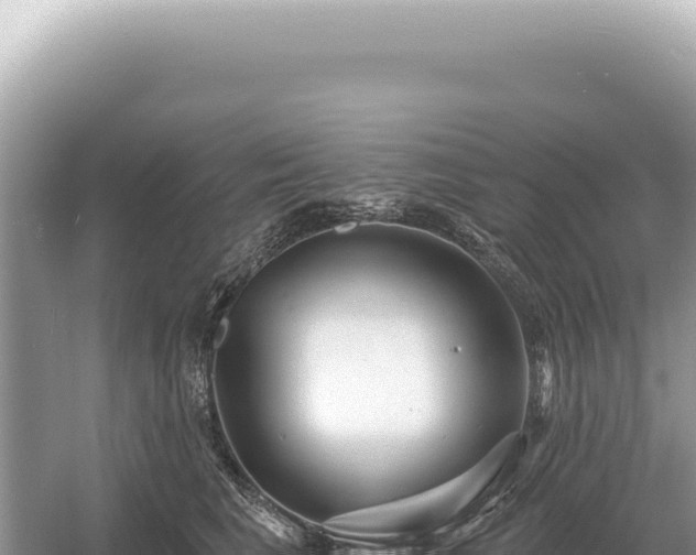 X0000054420613200508051807