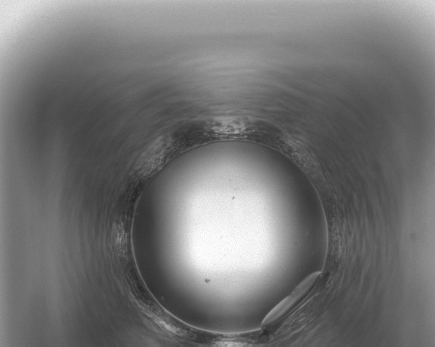 X0000054420614200508051807