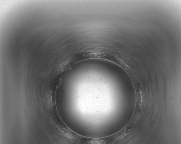 X0000054420615200508051807