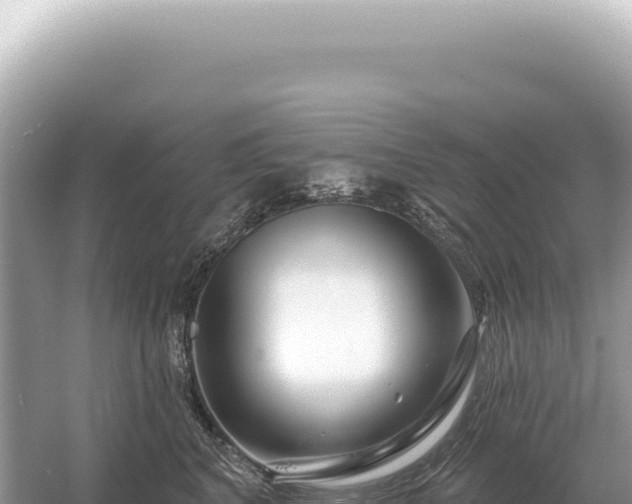 X0000054420616200508051807