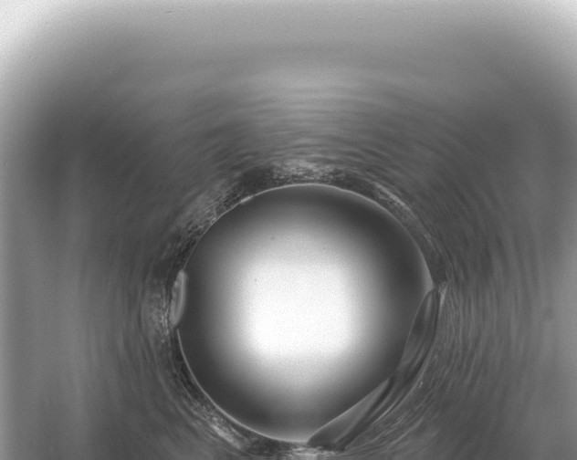 X0000054420617200508051807