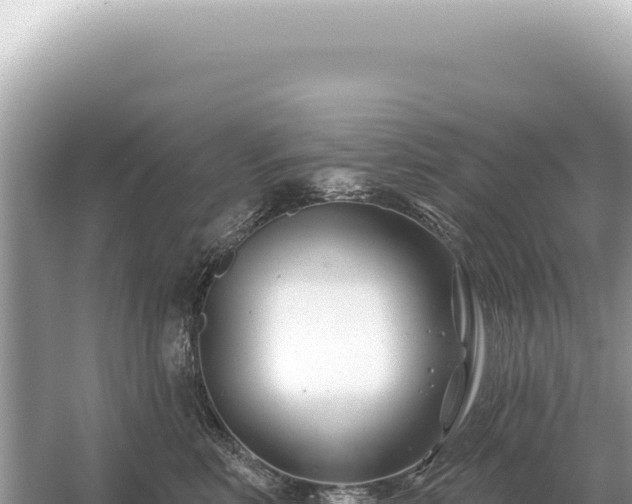 X0000054420618200508051807