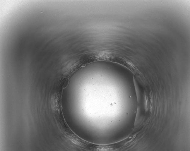 X0000054420619200508051807