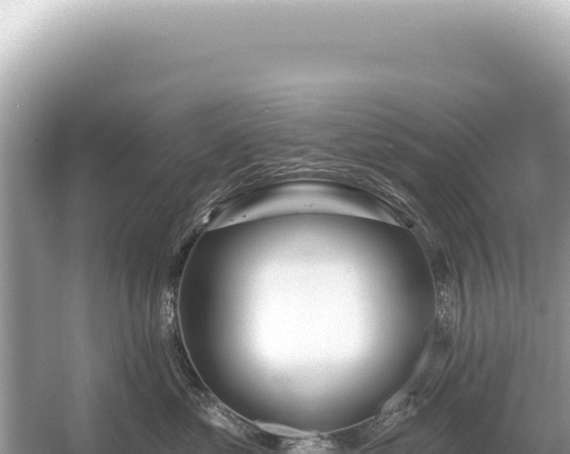 X0000054420621200508051807