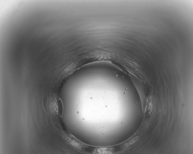 X0000054420622200508051807