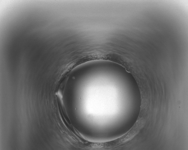 X0000054420624200508051807