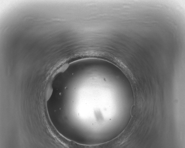 X0000054420625200508051806