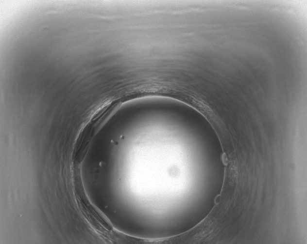 X0000054420626200508051806