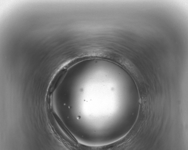 X0000054420628200508051806