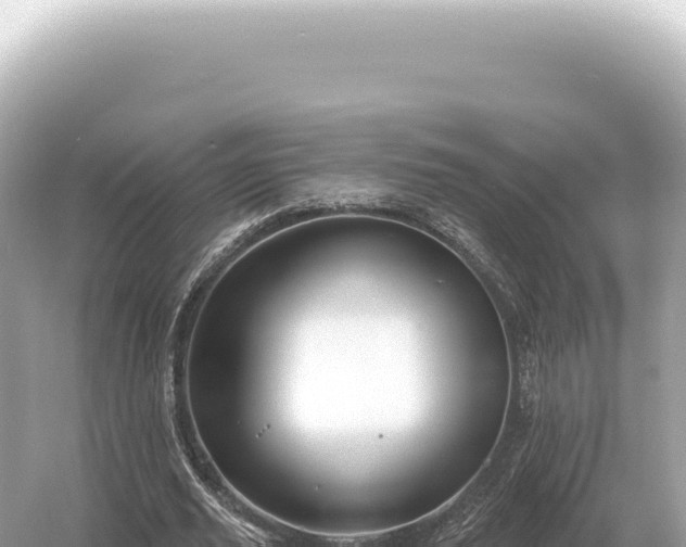 X0000054420629200508051806