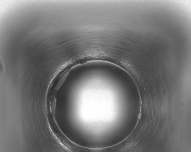 X0000054420630200508051806