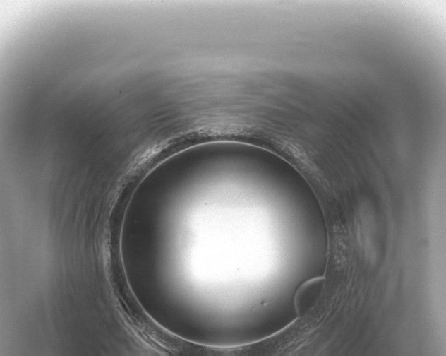 X0000054420631200508051807