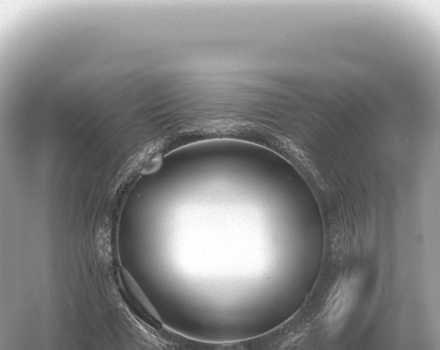 X0000054420633200508051807