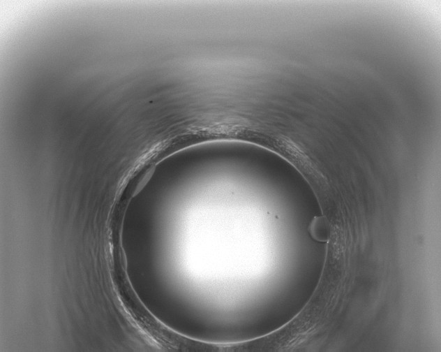 X0000054420634200508051807