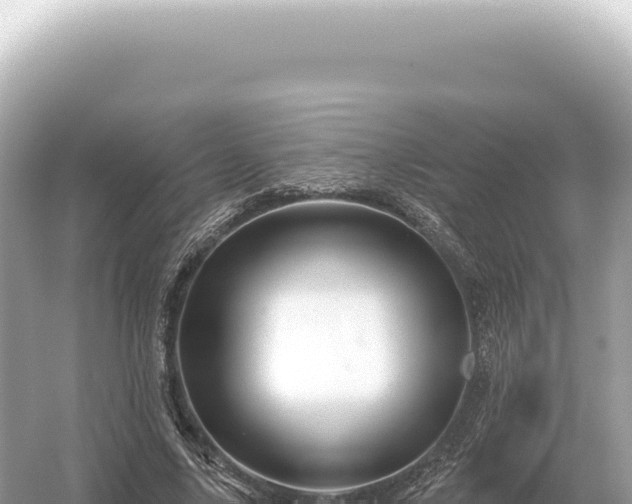 X0000054420635200508051807