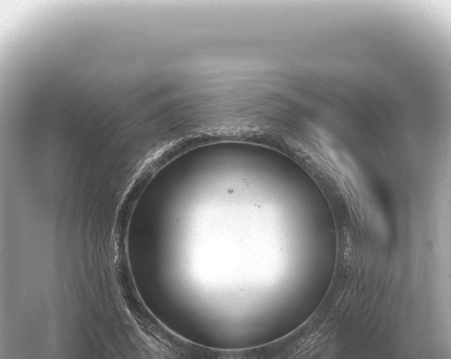 X0000054420636200508051807