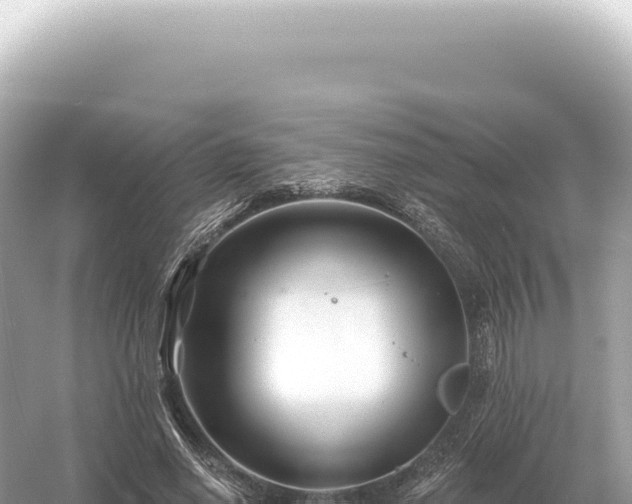 X0000054420638200508051807