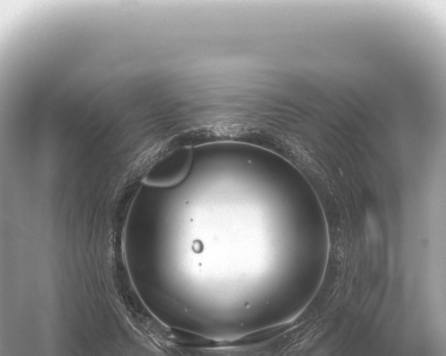 X0000054420639200508051807