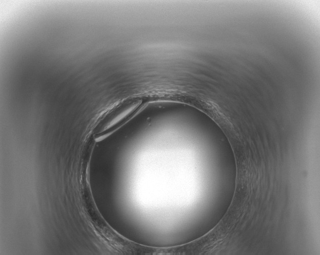 X0000054420640200508051807