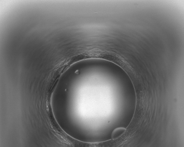 X0000054420641200508051807