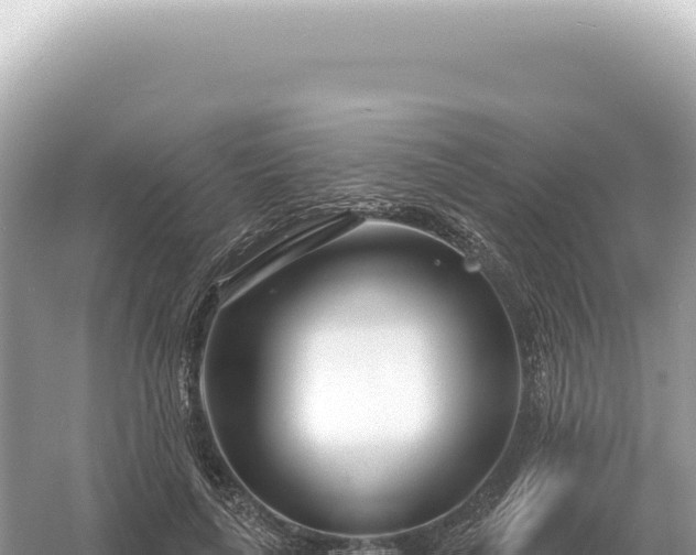 X0000054420643200508051807