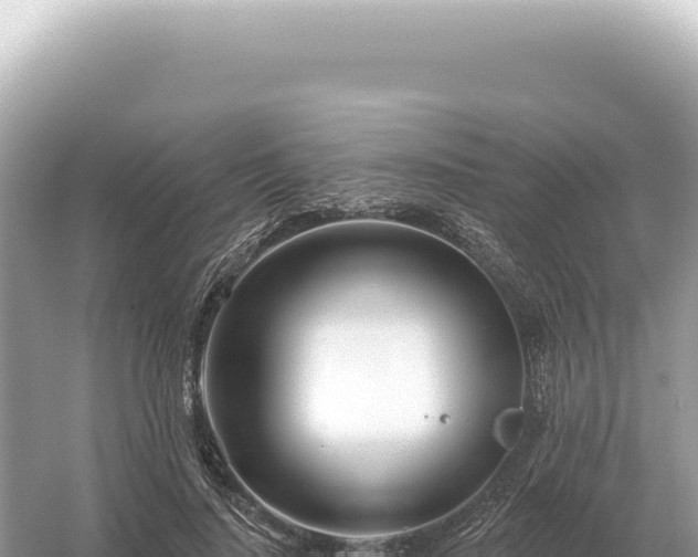 X0000054420644200508051807