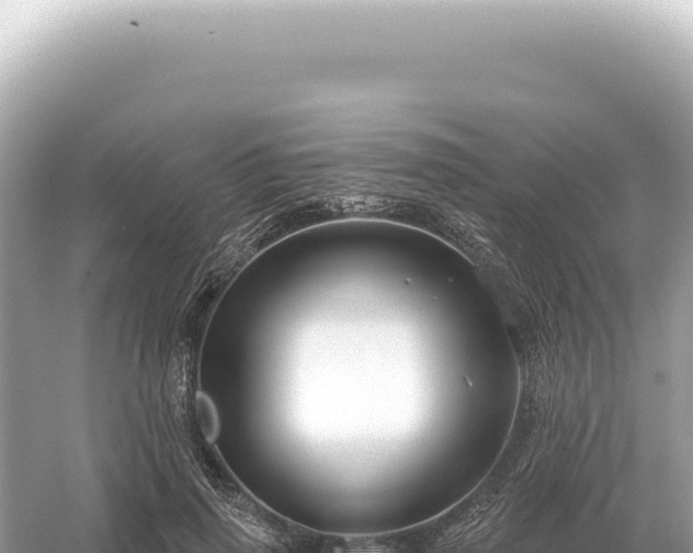 X0000054420645200508051807