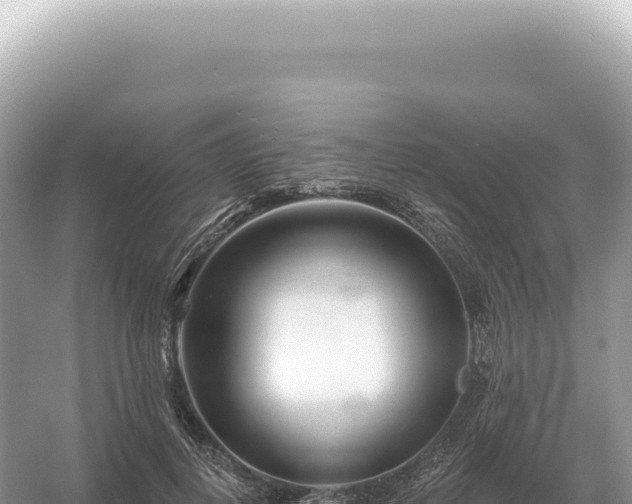 X0000054420648200508051807