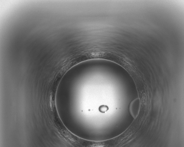 X0000054420651200508051807