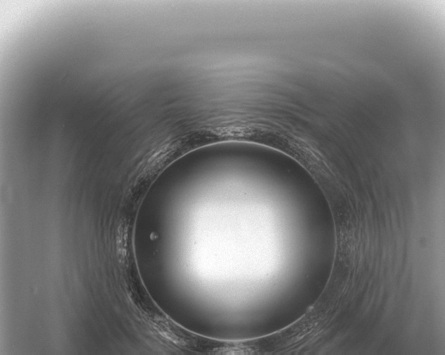 X0000054420652200508051807