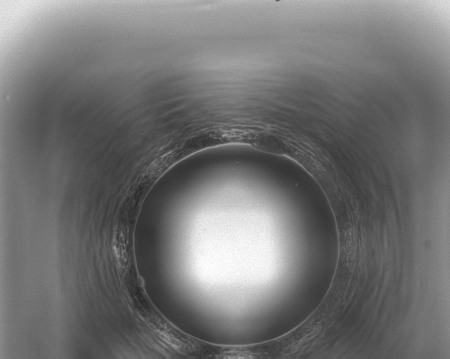 X0000054420653200508051807