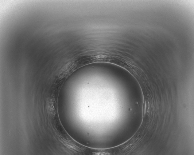 X0000054420654200508051807