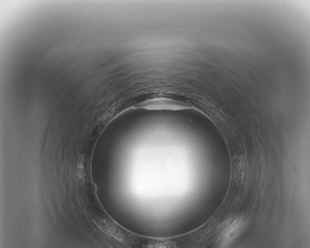 X0000054420655200508051807