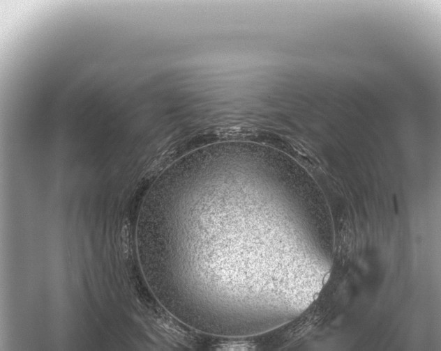 X0000054420659200508051807