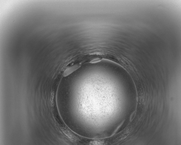 X0000054420660200508051807