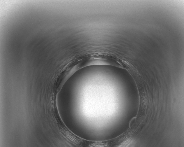 X0000054420661200508051807