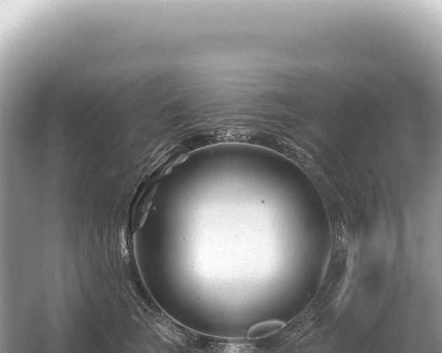 X0000054420663200508051807