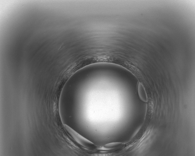 X0000054420665200508051807