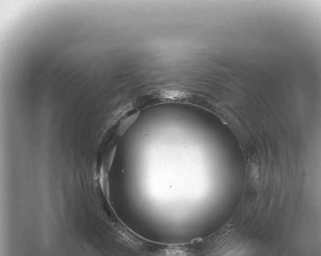 X0000054420668200508051807